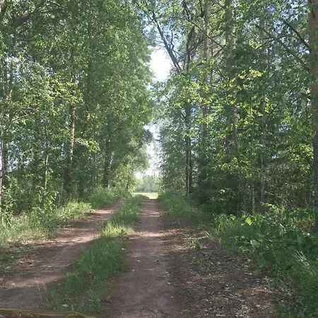 Дом отдыха Beautiful 4 Bed In Elimaki With Wood Sauna