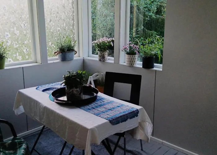 Pet Friendly Retreat - Sleeps 8 With Sauna Semesterbostad *