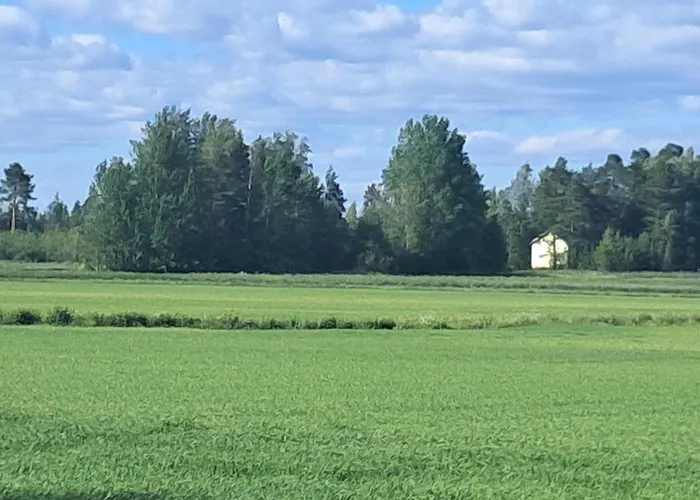 Pet Friendly Retreat - Sleeps 8 With Sauna Semesterbostad Koivisto (Lapinjarvi)